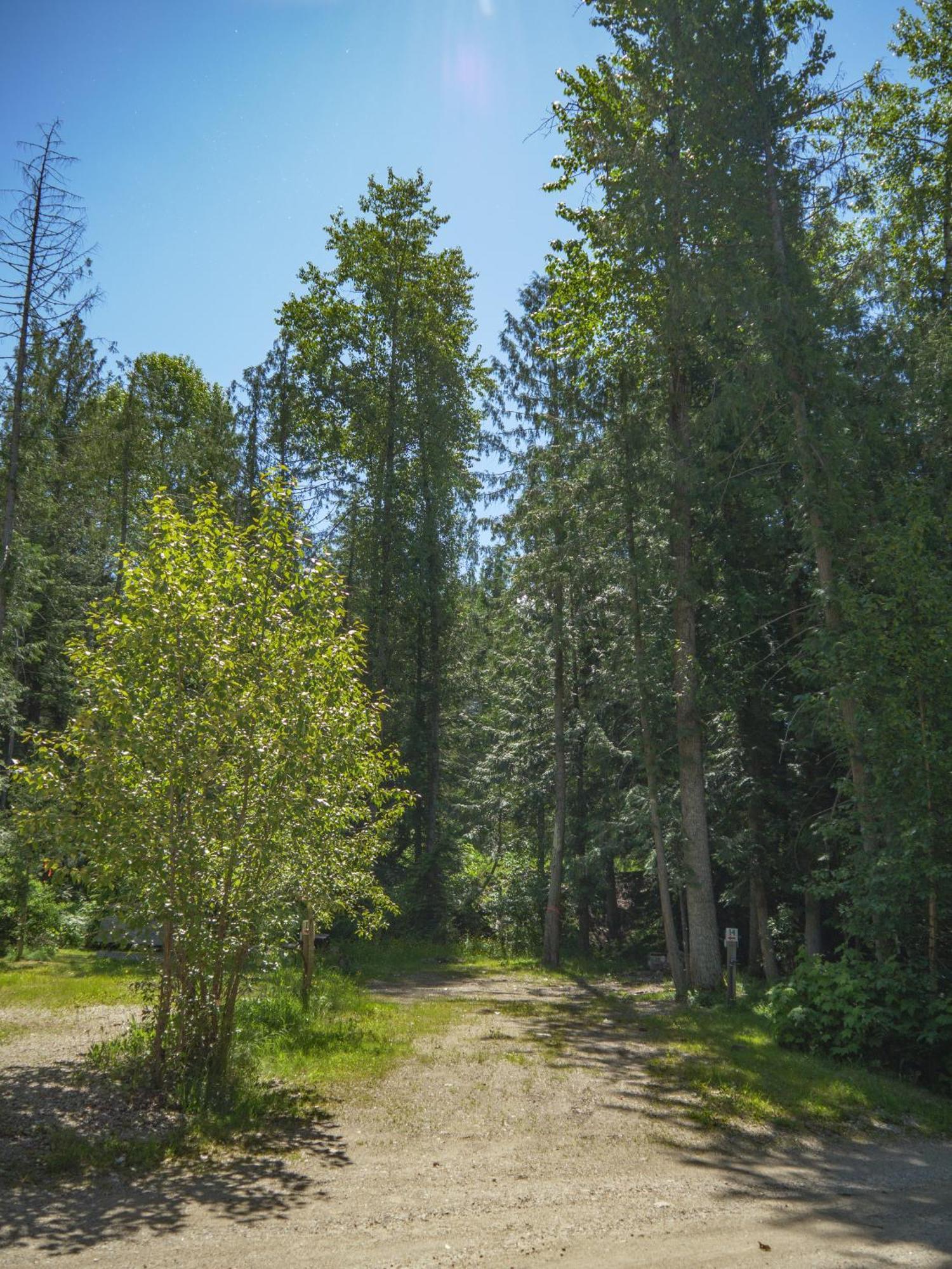 Noah'S Ark Campground Revelstoke Exterior photo